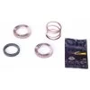 Kit Ratchet Et Ressort Mavic Pour Corps De Roue Libre ID360 -Vélos Soldes Magasin kit ratchet et ressort mavic pour corps de roue libre id360